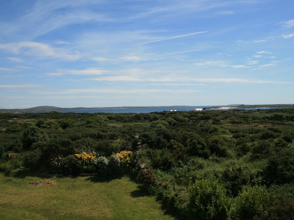 Rush Lake House Bed and Breakfast Clifden Δωμάτιο φωτογραφία